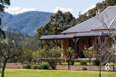 Other (Rural) Sold - NSW - Singleton - 2330 - Master-Built Home with Permanent Glendon Brook Creek Frontage  (Image 2)
