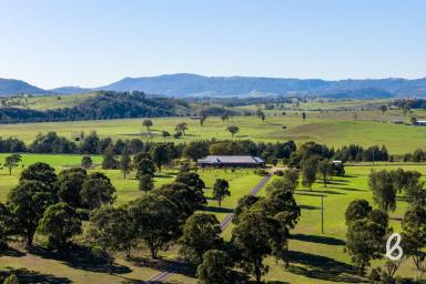 Other (Rural) Sold - NSW - Singleton - 2330 - Master-Built Home with Permanent Glendon Brook Creek Frontage  (Image 2)