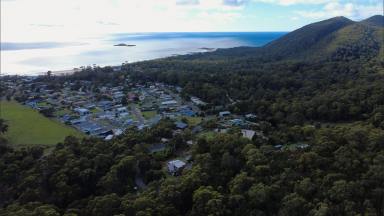 Residential Block For Sale - TAS - Sisters Beach - 7321 - Beautiful Sisters Beach!  (Image 2)