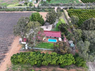 House For Sale - VIC - Nangiloc - 3494 - ALL THAT AND A WHOLE LOT MORE! (Image 2)