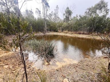 Lifestyle For Sale - NSW - Wombeyan Caves - 2580 - 200 Acres, Dwelling Entitlement, Bushland Setting, Peace Quiet and Privacy (Image 2)
