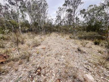 Lifestyle For Sale - NSW - Wombeyan Caves - 2580 - 200 Acres, Dwelling Entitlement, Bushland Setting, Peace Quiet and Privacy  (Image 2)
