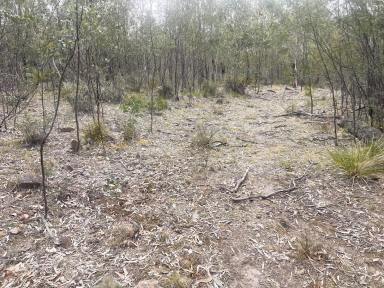 Lifestyle For Sale - NSW - Wombeyan Caves - 2580 - 200 Acres, Dwelling Entitlement, Bushland Setting, Peace Quiet and Privacy  (Image 2)