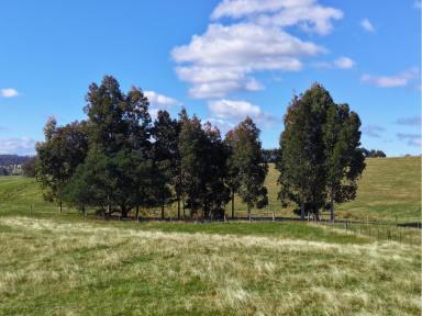 Residential Block Tender - VIC - Wy Yung - 3875 - Space, Views & Lifestyle in Wy Yung (Image 2)