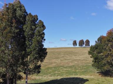 Residential Block Tender - VIC - Wy Yung - 3875 - Space, Views & Lifestyle in Wy Yung (Image 2)