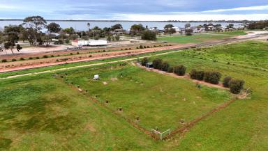 Residential Block For Sale - VIC - Lake Boga - 3584 - Bring Your Vision To Reality  (Image 2)