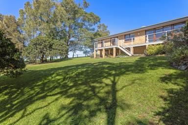 House For Sale - NSW - Jamberoo - 2533 - One Acre with Coastal & Ocean Outlook  (Image 2)