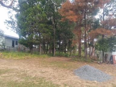 Residential Block For Sale - QLD - Macleay Island - 4184 - 1012 m2 Huge Block-  Ready to build your Dream Island Home! Walk to the beach.  (Image 2)