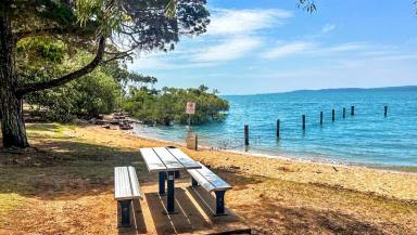 Residential Block For Sale - QLD - Macleay Island - 4184 - 1012 m2 Huge Block-  Ready to build your Dream Island Home! Walk to the beach.  (Image 2)