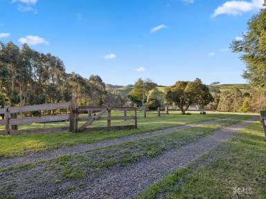 Acreage/Semi-rural For Sale - VIC - Kardella - 3951 - Charming Kardella country home!  (Image 2)