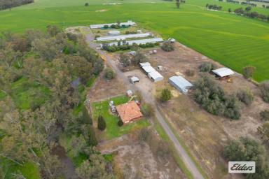 Acreage/Semi-rural For Sale - VIC - Leichardt - 3516 - "Coverdale" Selling "As a Whole" or in 2 Lots, 105.71 Hectares / 261.23 Acres (Image 2)