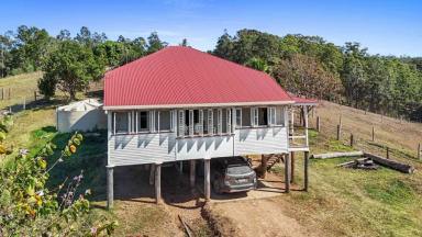 House For Sale - QLD - North Deep Creek - 4570 - Country Charm & Rural Space  (Image 2)