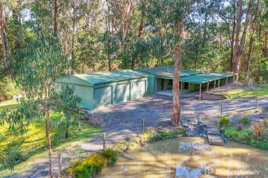 House For Sale - VIC - Launching Place - 3139 - RUSTIC CHARM MEETS COUNTRY LIVING ON 2.5 ACRES APPROX (Image 2)