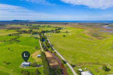 House For Sale - NSW - Belmore River - 2440 - Productive Creekfront Farm with Renovated Home on 39ha (Image 2)