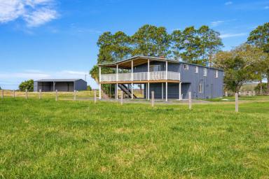 House For Sale - NSW - Belmore River - 2440 - Productive Creekfront Farm with Renovated Home on 39ha (Image 2)