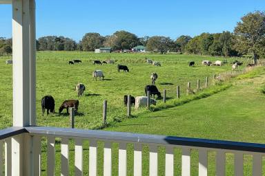 House For Sale - NSW - Belmore River - 2440 - Productive Creekfront Farm with Renovated Home on 39ha  (Image 2)