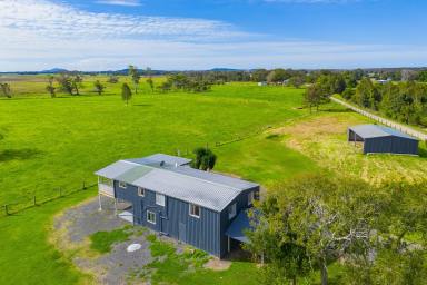 House For Sale - NSW - Belmore River - 2440 - Productive Creekfront Farm with Renovated Home on 39ha (Image 2)