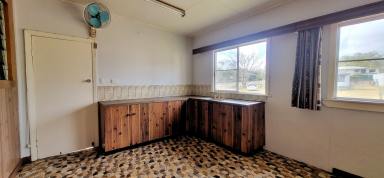 House For Sale - QLD - Mount Garnet - 4872 - Opportunity Knocks  (Image 2)