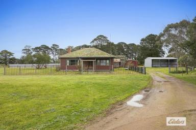 Lifestyle For Sale - VIC - Bornes Hill - 3379 - Picturesque Country Retreat With Infrastructure - 71 Acres  (Image 2)