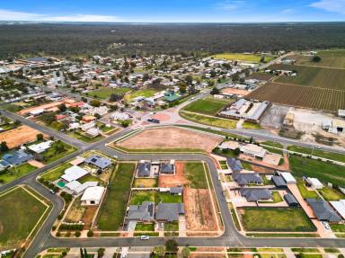 Residential Block For Sale - NSW - Euston - 2737 - Your Euston Build Starts Here. (Image 2)