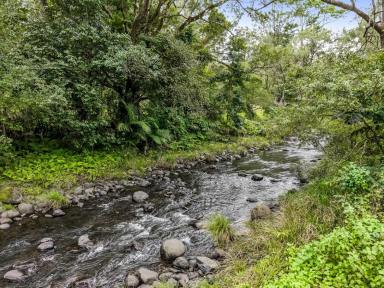 Acreage/Semi-rural For Sale - NSW - Collins Creek - 2474 - Peaceful Creekside Living  (Image 2)