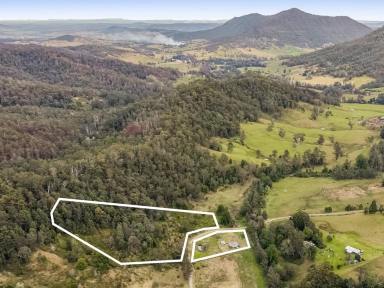 Acreage/Semi-rural For Sale - NSW - Collins Creek - 2474 - Peaceful Creekside Living  (Image 2)