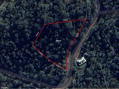 Residential Block For Sale - QLD - Glastonbury - 4570 - Vacant Rural Lot Ready for You! (Image 2)