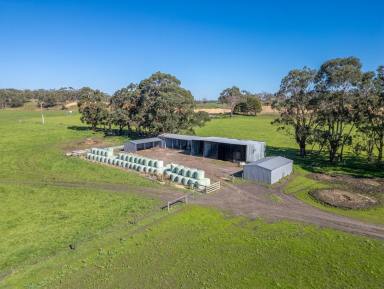 Residential Block Sold - VIC - Heywood - 3304 - Well Equipped Farm Property  (Image 2)