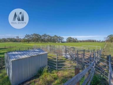 Residential Block For Sale - VIC - Heywood - 3304 - Well Equipped Farm Property  (Image 2)