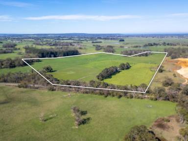 Residential Block Sold - VIC - Heywood - 3304 - Well Equipped Farm Property  (Image 2)