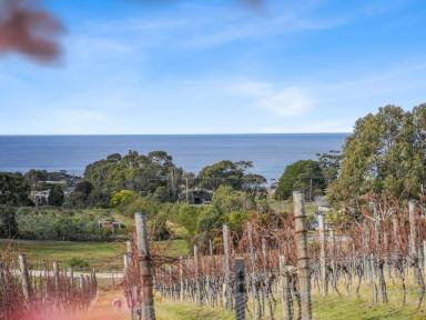 House For Sale - TAS - Bicheno - 7215 - Luxury Meets Lifestyle: Bicheno's Ultimate East Coast Retreat  (Image 2)