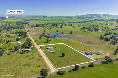 House For Sale - NSW - Cowra - 2794 - Lovely home set on 5acres, just 5mins from town!  (Image 2)