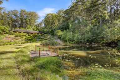 House For Sale - QLD - Obi Obi - 4574 - A Private Hinterland Sanctuary Where Craftsmanship Meets Nature  (Image 2)