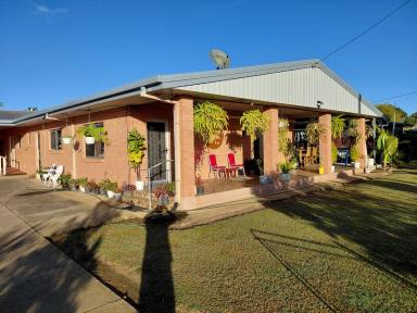 House For Sale - QLD - Mareeba - 4880 - Upgraded Family Home on 1,562m² with Exceptional Vehicle & Workshop Space  (Image 2)