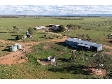 Acreage/Semi-rural For Sale - SA - Sandleton - 5356 - Old Style, Country Charm on a Lifestyle Property (Image 2)