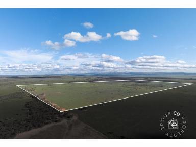 Livestock For Sale - SA - Sandleton - 5356 - Open Arable Paddocks with a Tree Lot  (Image 2)