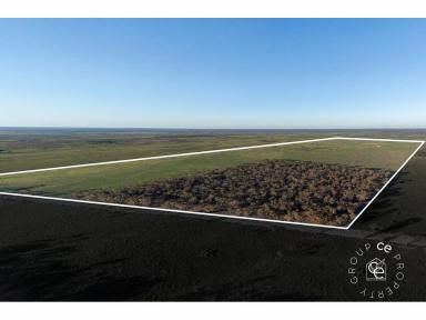 Livestock For Sale - SA - Sandleton - 5356 - Open Arable Paddocks with a Tree Lot  (Image 2)