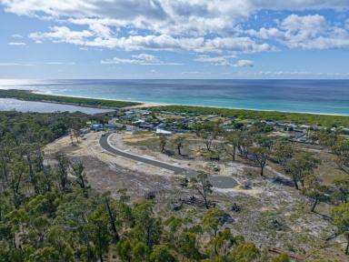 Residential Block For Sale - TAS - Scamander - 7215 - Blocks selling fast, don't miss out! (Image 2)