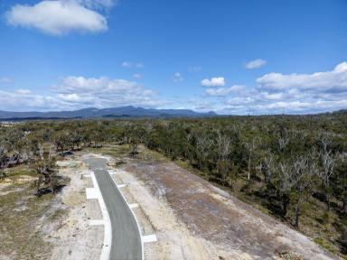 Residential Block For Sale - TAS - Scamander - 7215 - Blocks selling fast, don't miss out!  (Image 2)
