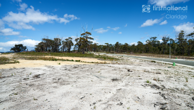 Residential Block For Sale - TAS - Scamander - 7215 - Blocks selling fast, don't miss out!  (Image 2)