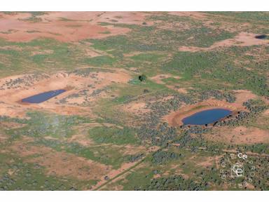 Livestock For Sale - SA - Sandleton - 5356 - Open Arable Paddocks with Two Dams  (Image 2)