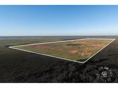 Livestock For Sale - SA - Sandleton - 5356 - Open Arable Paddocks with Two Dams  (Image 2)