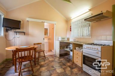 Unit For Lease - NSW - Glen Innes - 2370 - Self Contained Cabin Close To Town  (Image 2)