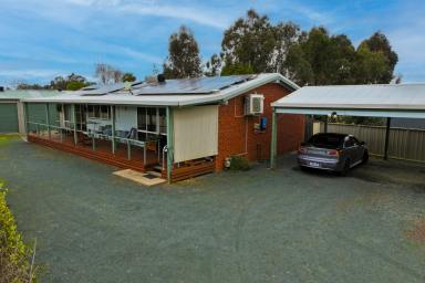 House For Sale - VIC - Rochester - 3561 - LOW MAINTAINENCE HOME WITH EXCELLENT SHEDDING  (Image 2)