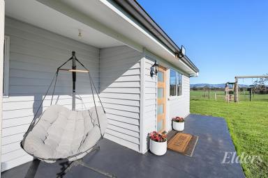 House For Sale - VIC - Darnum - 3822 - Country Charm, Lifestyle Freedom & The Ultimate Shed! (Image 2)