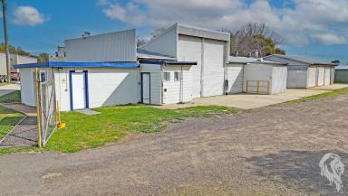 Industrial/Warehouse For Sale - NSW - Narrabri - 2390 - FLEXIBLE COMMERCIAL PREMISES WITH HIGHWAY FRONTAGE  (Image 2)