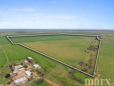 Cropping For Sale - SA - Steinfeld - 5356 - Substantial Rural Holding of productive farming land (Image 2)