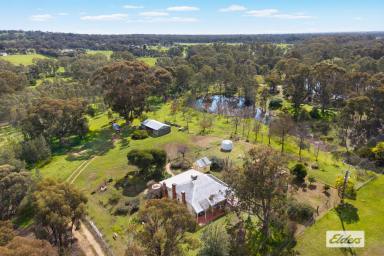 Acreage/Semi-rural For Sale - VIC - Shelbourne - 3515 - TRADITIONAL FARMHOUSE ON 20 BEAUTIFUL ACRES (Image 2)