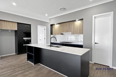 House For Lease - NSW - Dubbo - 2830 - Expansive Four-Bedroom Family Home in a Convenient Location  (Image 2)