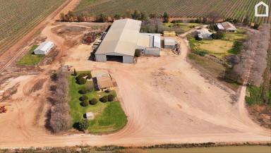 Horticulture For Sale - NSW - Hanwood - 2680 - Quality Improvements, drip irrigation infrastructure and fertile soils. (Image 2)